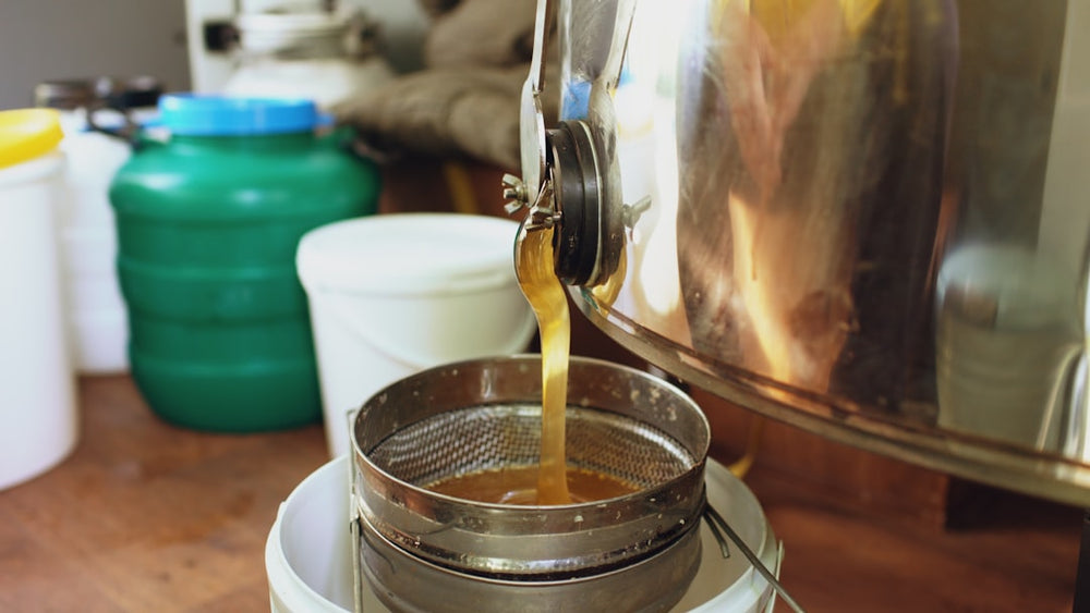 How Sustainable Sourcing Transforms the Distilling Process